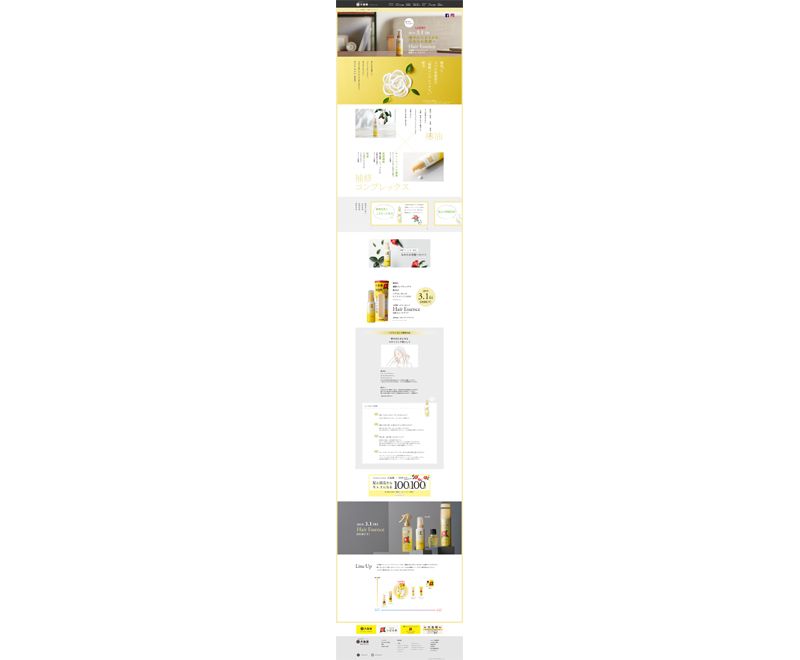 新商品のティザーサイト制作の実績 | Ladycrew×大島椿×コルクデザインの実績:制作物